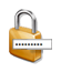 Password icon