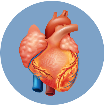 Congestive Heart Failure