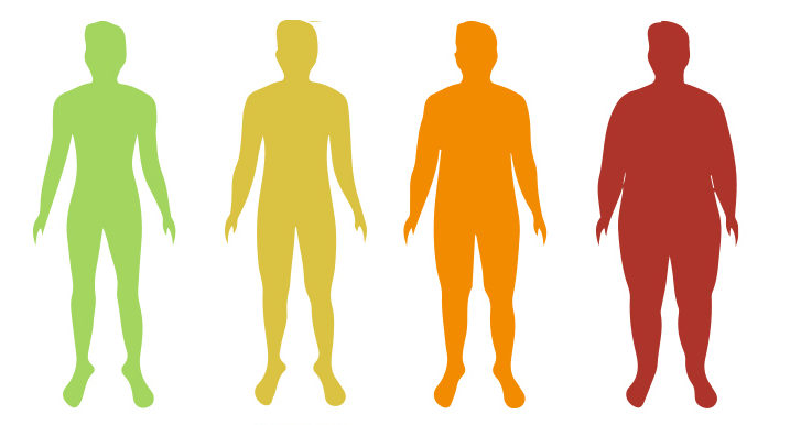 Body mass index