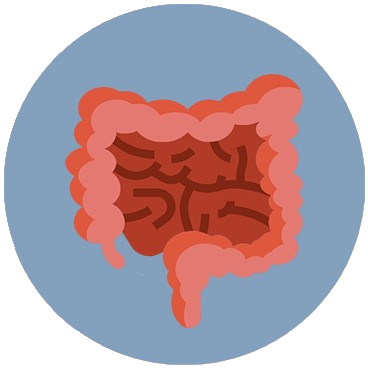 Colorectal Gut Health