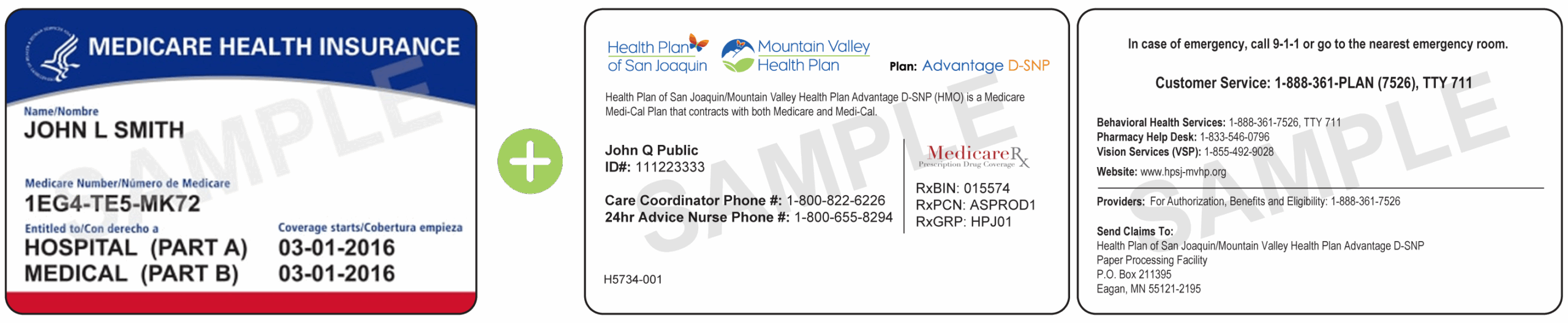 Samples of Member Cards