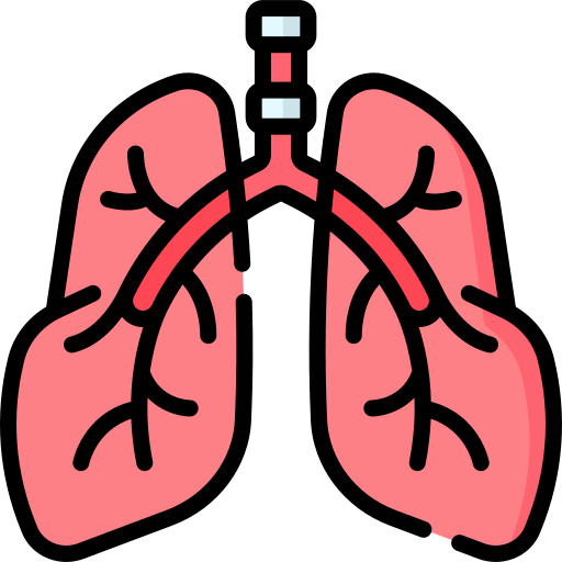 COPD Education